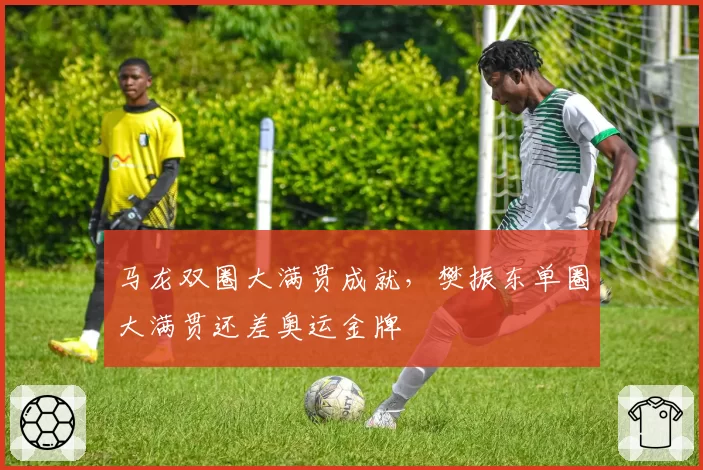 马龙双圈大满贯成就，樊振东单圈大满贯还差奥运金牌