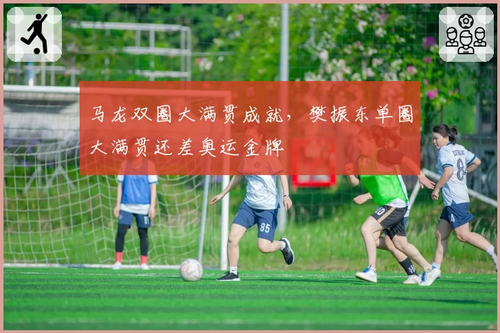 马龙双圈大满贯成就，樊振东单圈大满贯还差奥运金牌
